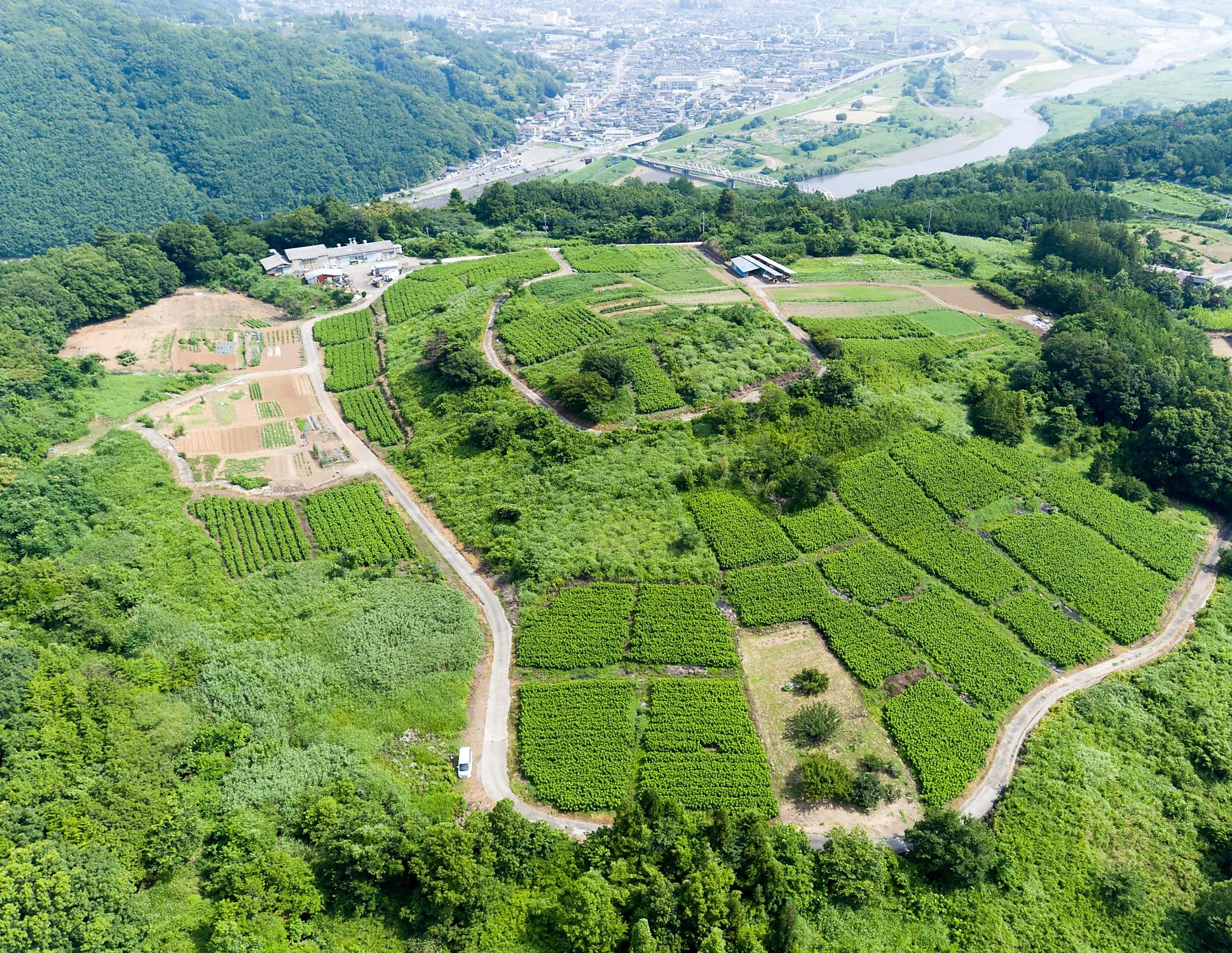 Aerial view of Kuwanosato mulberry farm fields nestled in the mountains of Yamanashi, Japan
